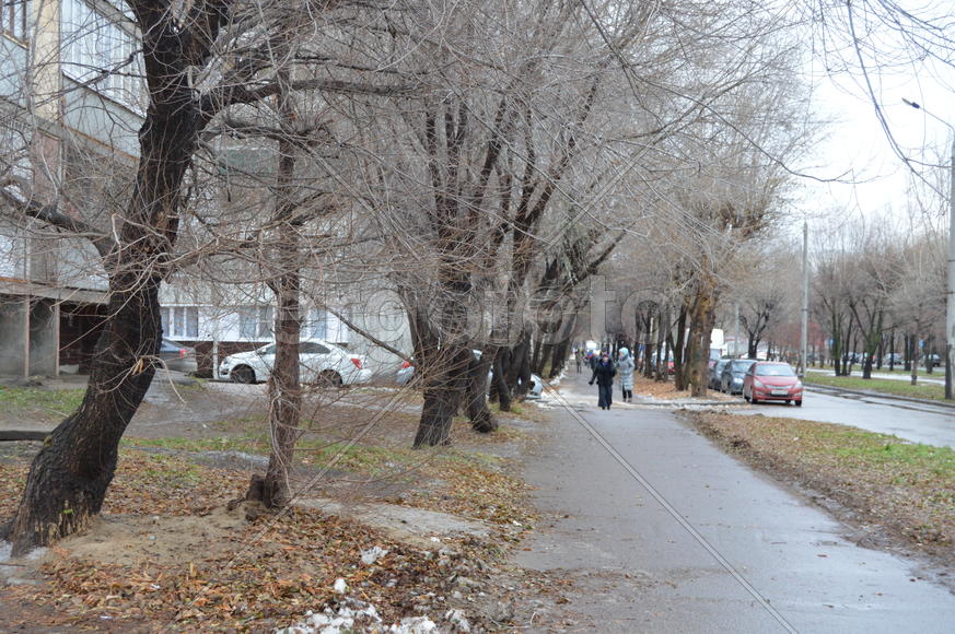 Первый снег поздней осенью 