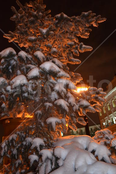 В оранжевом свете