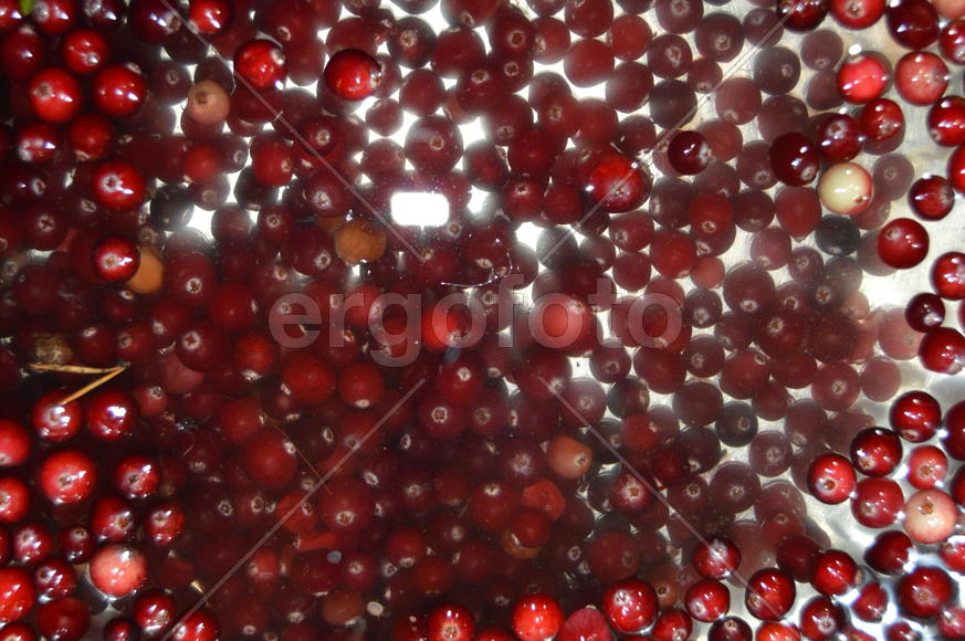 Клюква в воде