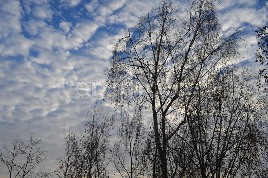 Ноябрьское небо