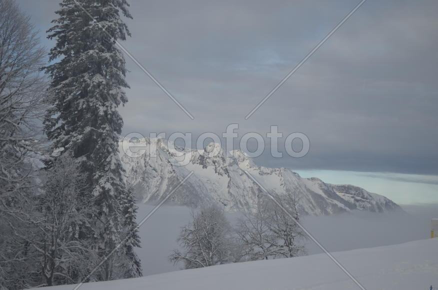 Заоблачный мир