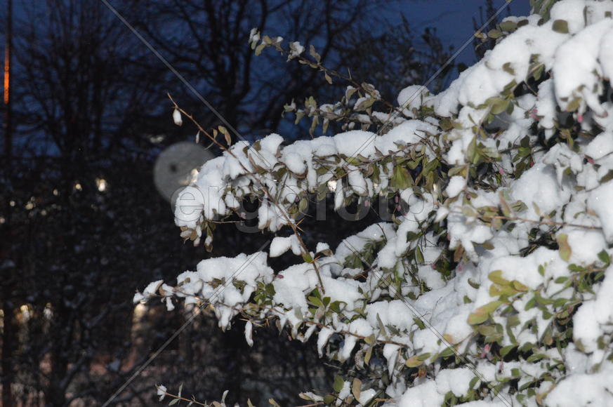 Казань. Заснеженный зимний парк 