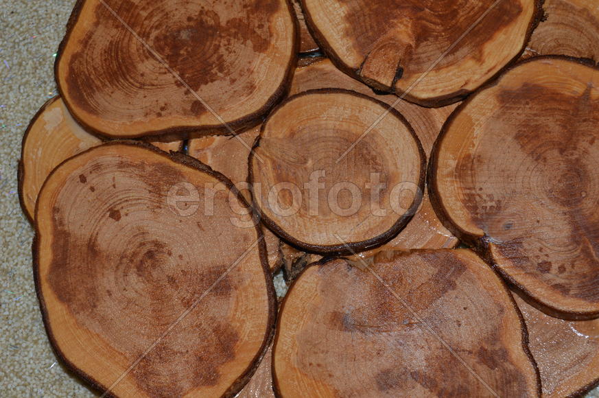 Можжевельник: поперечный разрез ствола