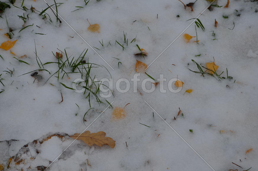 Приметы осени