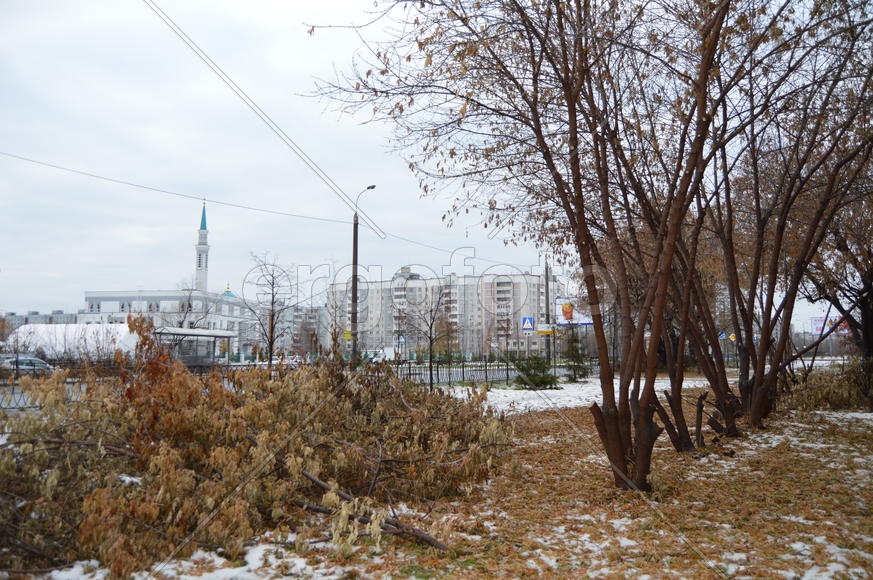 Первый снег на пожелтевшей осенней листве 