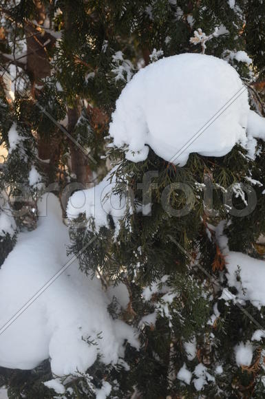 Сугробы на туе