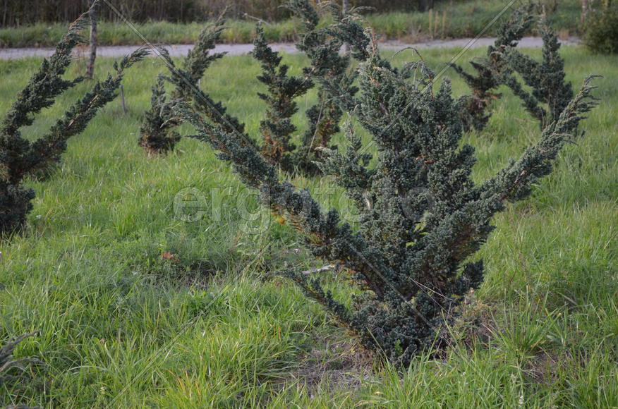 Необычные формы