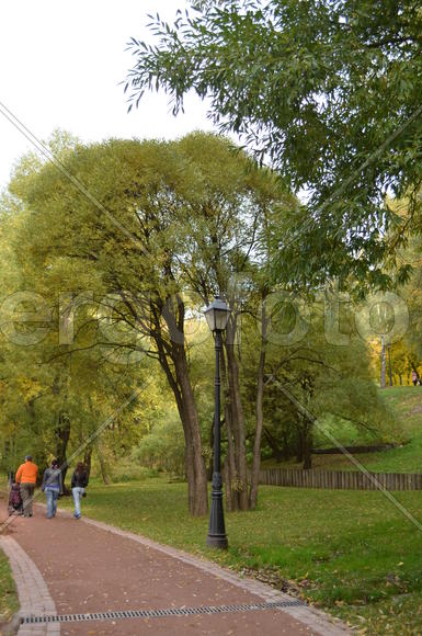 Немного зеленого