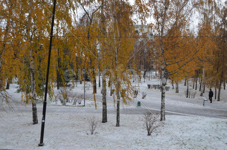 Выпал снег. Ни следов, ни грязи