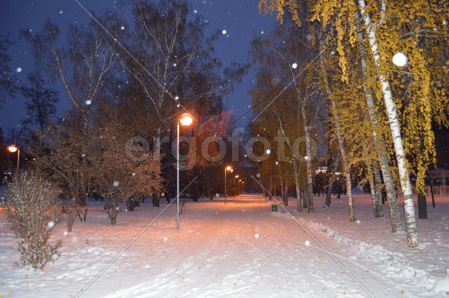 Казань. Заснеженный зимний парк 