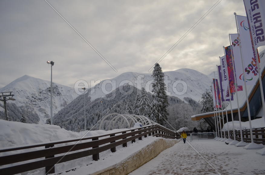  2014 год. Март