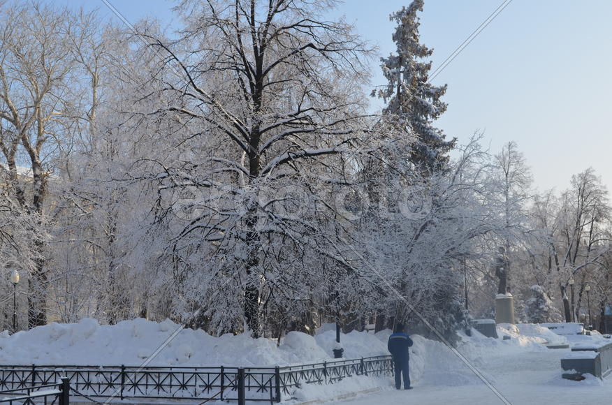 В центре города большого