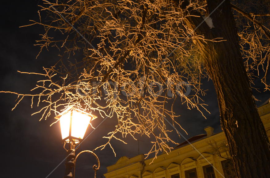 Над фонарем