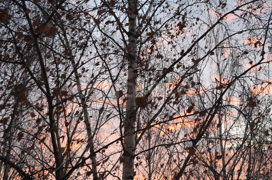 С добрым утром!