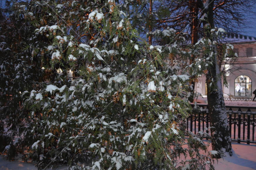 Казань. Заснеженный зимний парк 