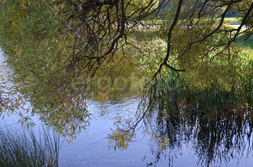 С отражением