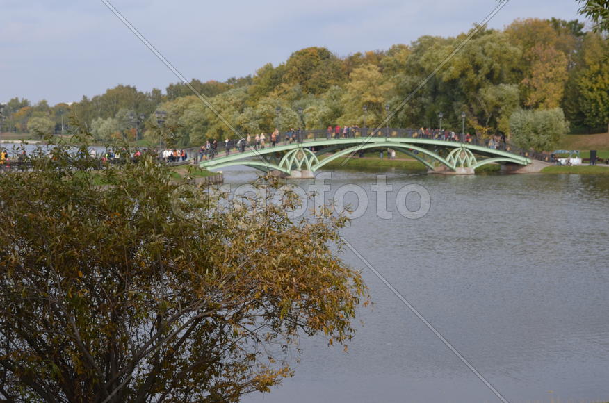 Царские пруды: Верхний Царицынскпий пруд