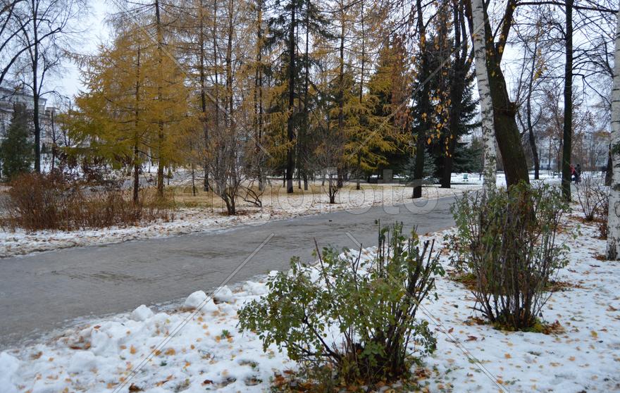 Первый снег поздней осенью 