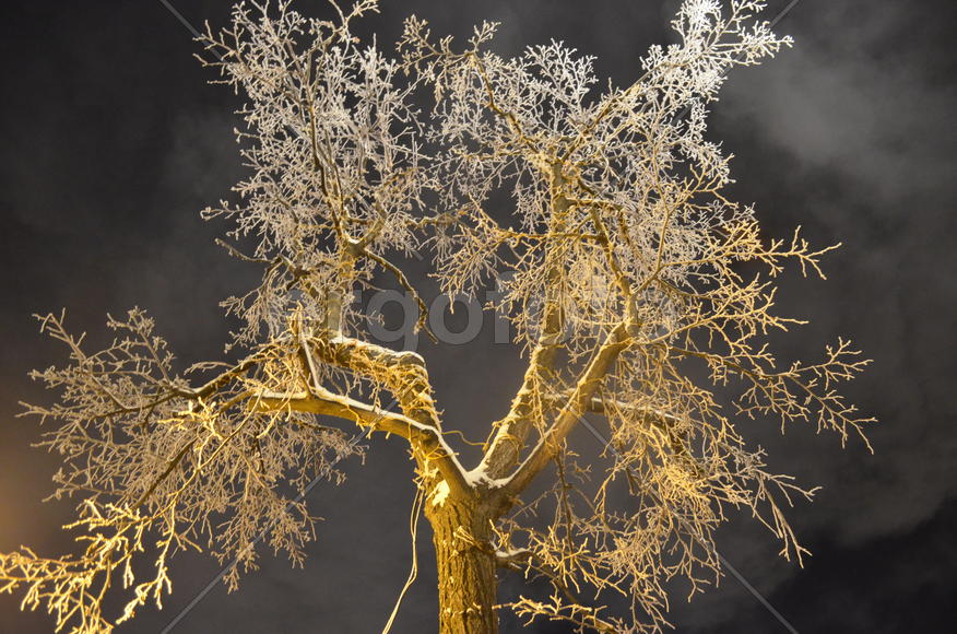 На фоне неба 