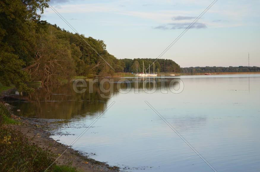 Озеро в окружении зеленых деревьев 