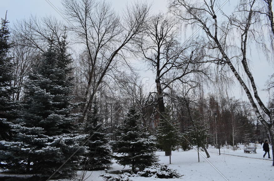 Зимний сквер