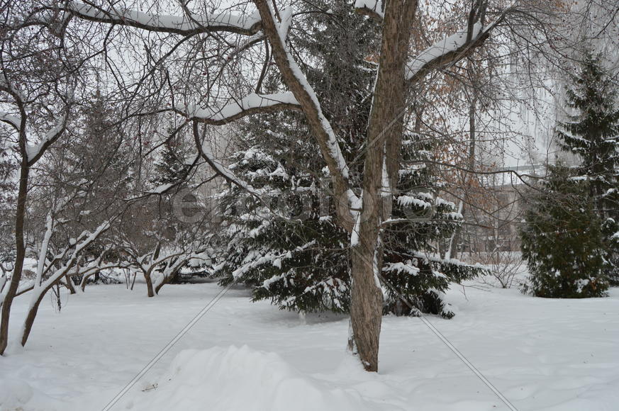 Городской парк занесенный снегом холодной зимой 