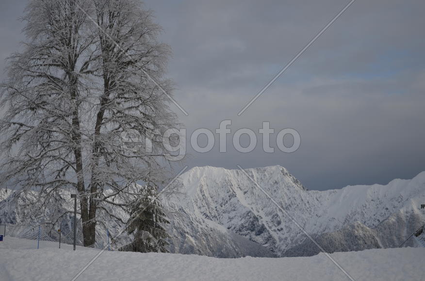 Над облаками