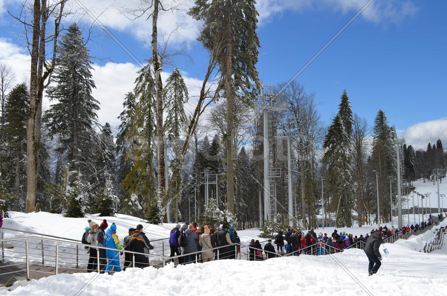 Соревнования успешно завершились