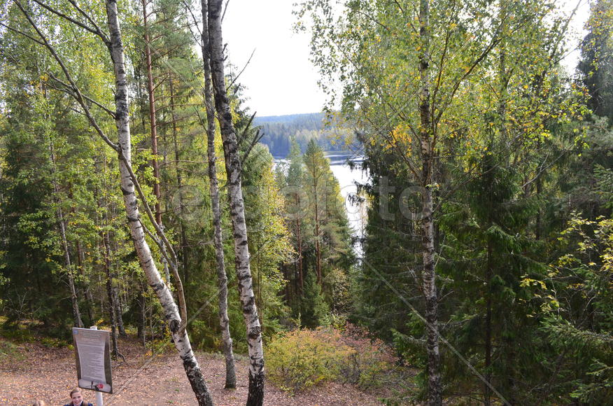 Лесное озеро: Национальный парк Нарочанский (Республика Беларусь)
