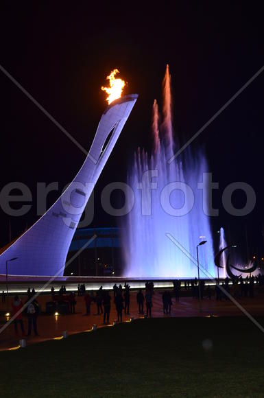 Мартовская ночь в Сочи