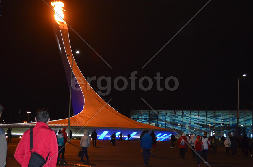 Сочи. Олимпийский парк ночью 