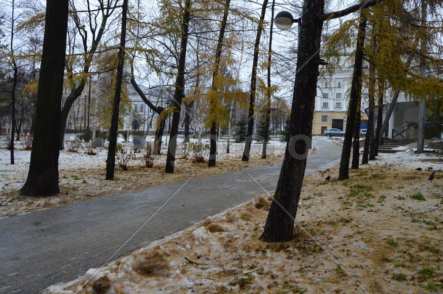 Первый снег поздней осенью 