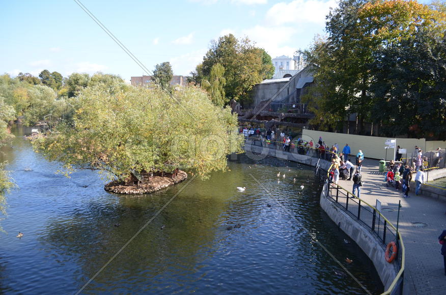 Водоем в зоопарке 