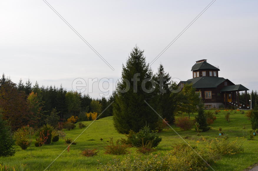 Ухоженный сад с зеленым лугом 