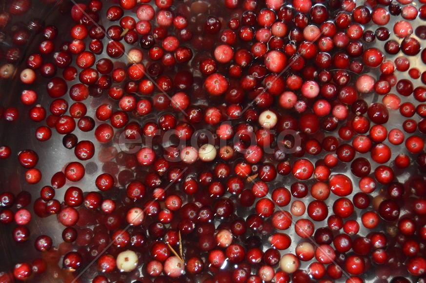 Ягоды клюквы в воде