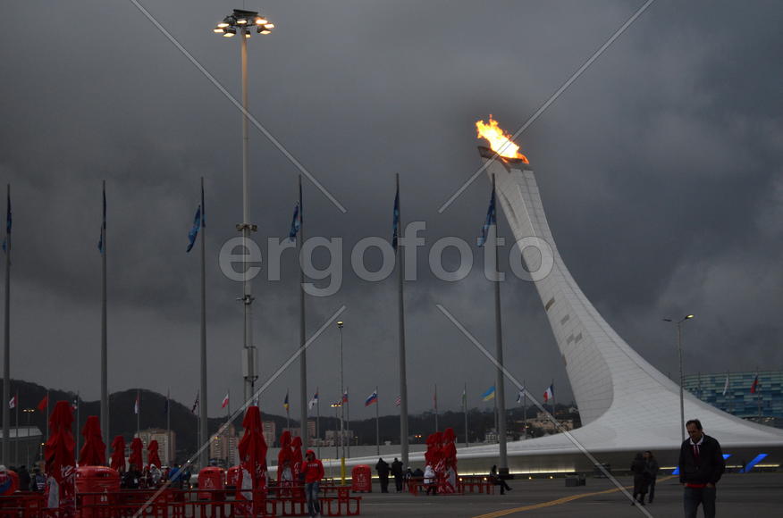 Сочи. Олимпийский огонь. Ночь средь бела дня