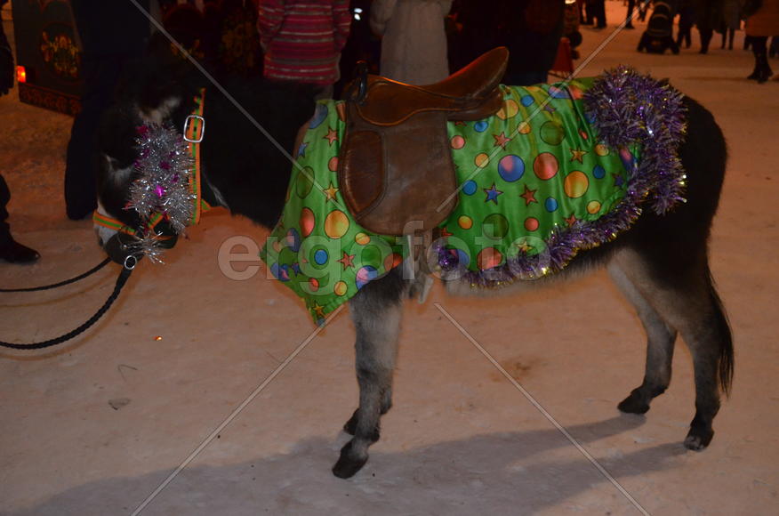 Ослик в цветной накидке