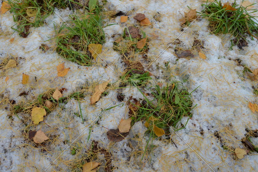 Первый снег на пожелтевшей осенней листве 