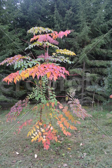 Садоводческое хозяйство 
