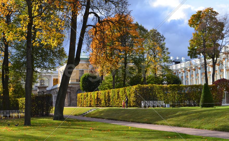 Царское Село. Екатерининский парк