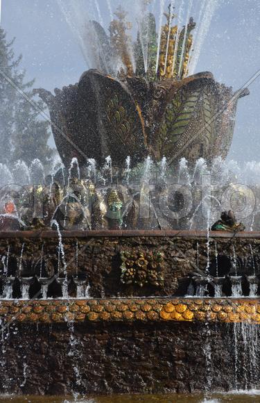 Москва. ВДНХ: фонтан "Каменный цветок"