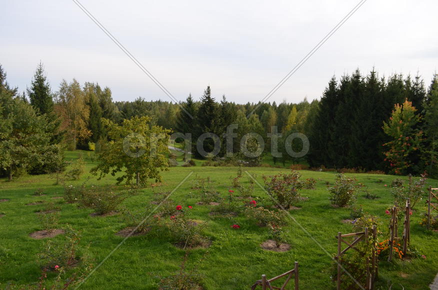 Садоводческое хозяйство 