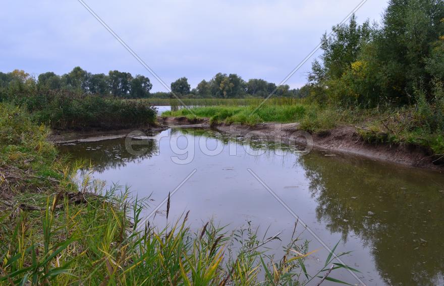 Река вдоль лесного массива 