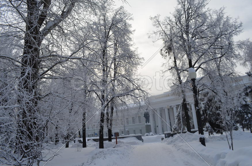 Зимние каникулы