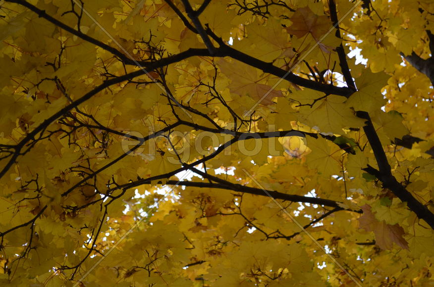 Взгляд снизу