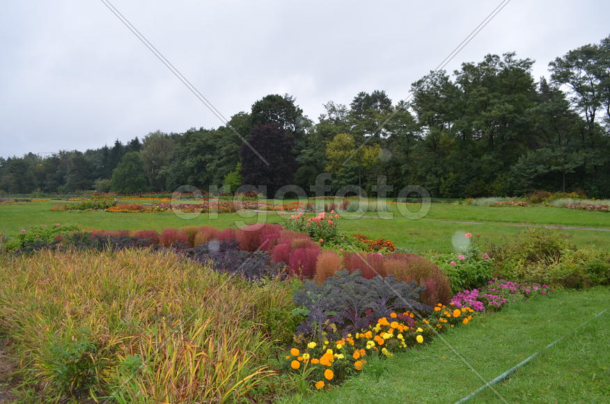 Цветной фрагмент