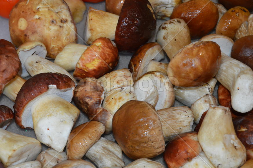 Белый гриб или борови: куча грибов лежит на столе