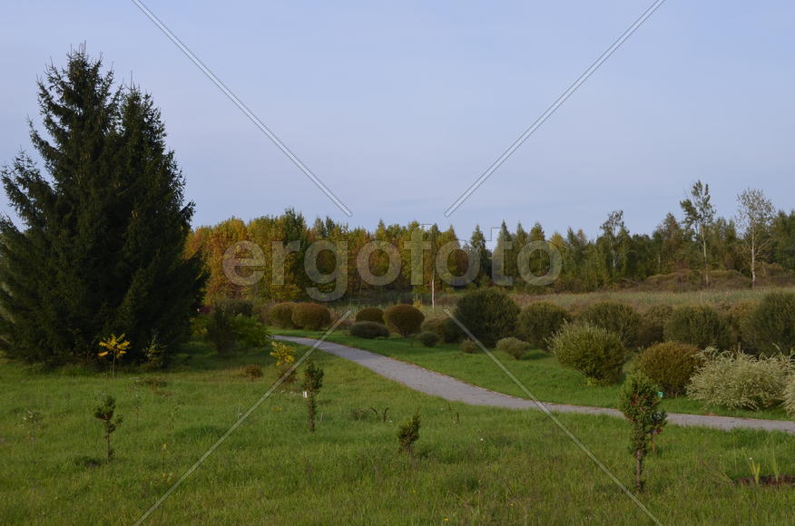 Ухоженный сад с зеленым лугом 