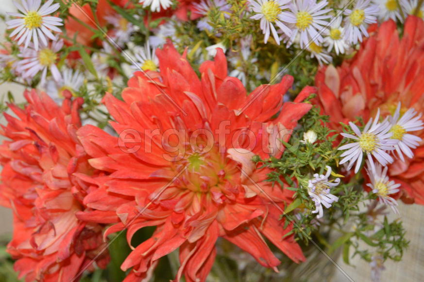 Композиция из цветов в букете 