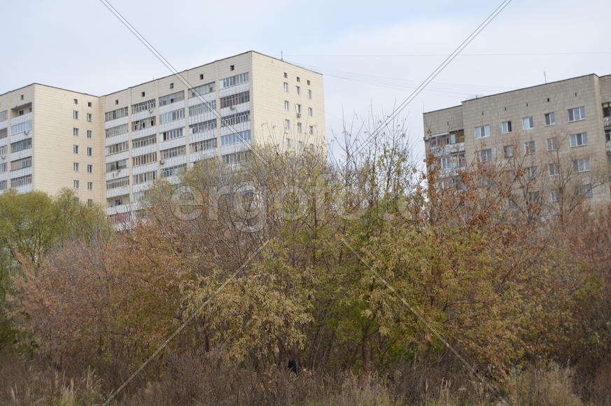 Золотая осень. Пожелтевшая листва осенью 